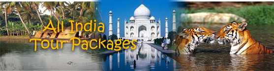 All India Tour Package